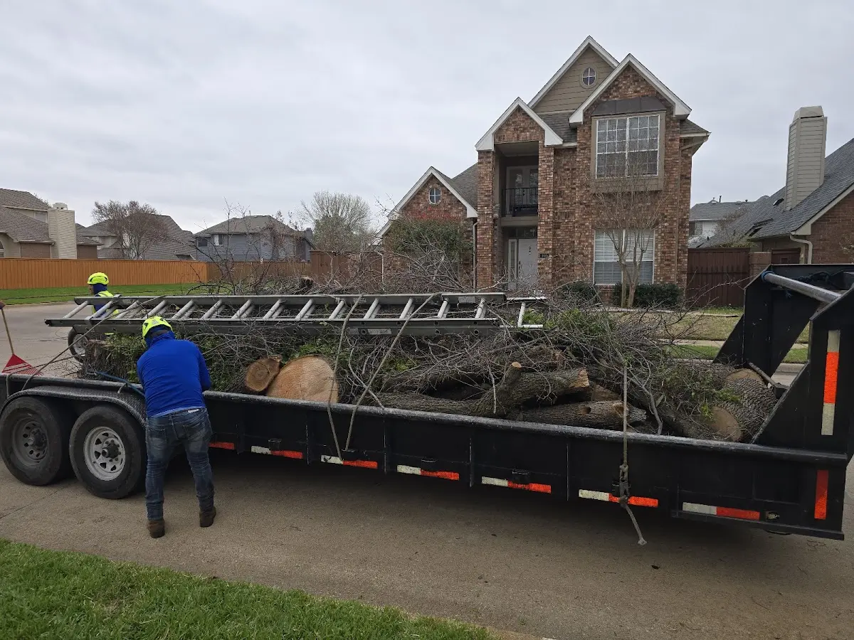 Expert Tree Fertilization with proper safety equipment in Lukeville